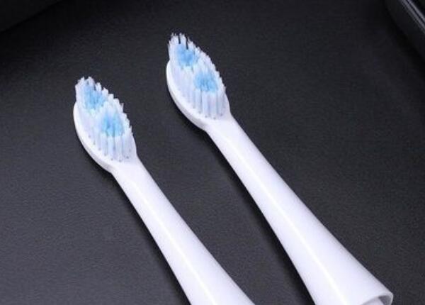 電動牙刷頭 電動牙刷頭什么價(jià)格比較合適