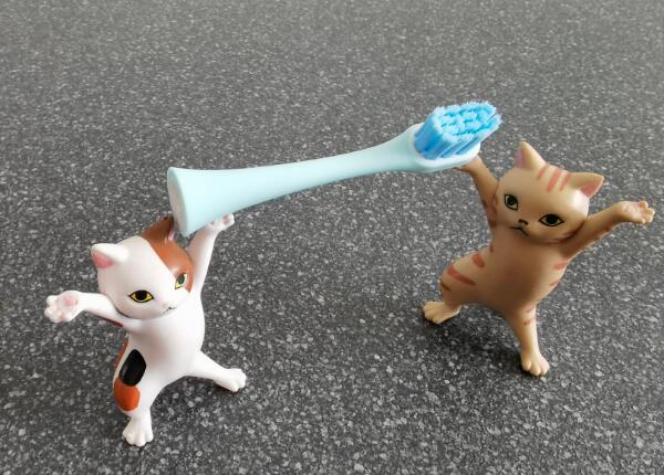 兒童電動(dòng)牙刷頭如何選擇？?jī)和妱?dòng)牙刷頭選購(gòu)要點(diǎn)